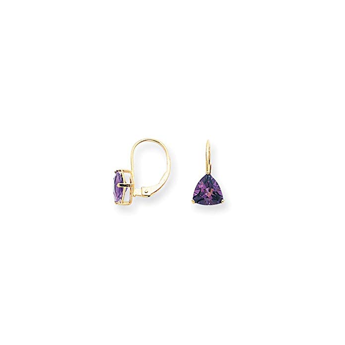 14k Yellow Gold 0.6IN Long 7mm Trillion Amethyst leverback Earrings